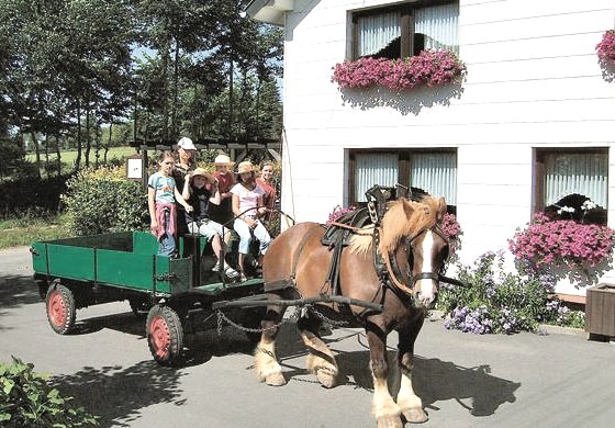 Bauer Holiday Farm, © Ferienhof Bauer