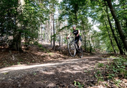 Mountainbiker unterwegs auf dem Routennetz, © someoner.de