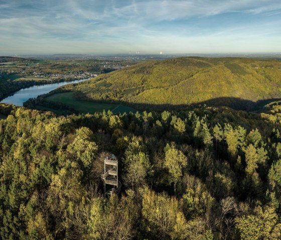 Verkeerstoren in het bos, © Eifel Tourismus GmbH, Dominik Ketz