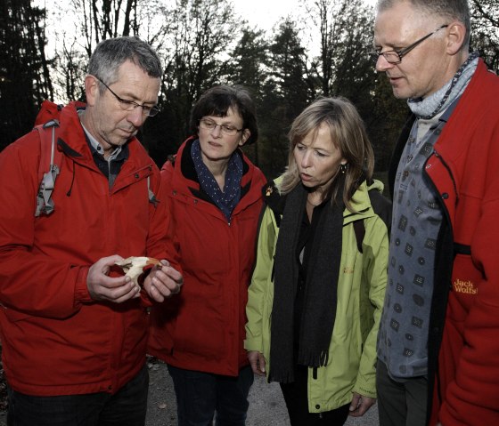 Searching for beavers at dusk, © Rureifel-Tourismus e.V._Giesen