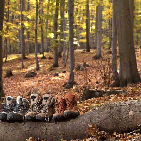 Wir schnüren Ihnen den passenden Wanderurlaub, © Janni / fotolia.de