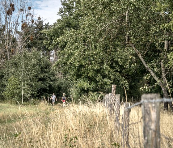 Drover Heide, © Dennis Stratmann | Kreis Düren