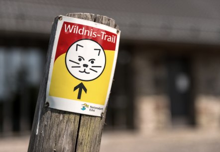 Wildnis-Trail Symbol, © Eifel-Tourismus GmbH, Dominik Ketz