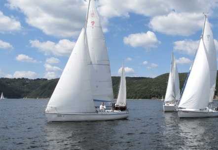 Ein idyllisches Bild: Segelboote auf dem Rursee, © Wassersport Becker