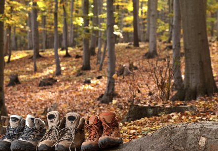 Wir schnüren Ihnen den passenden Wanderurlaub, © Janni / fotolia.de