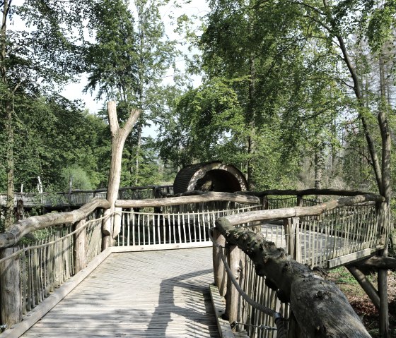 Chemin sauvage, © J. Dörstel / Nationalpark Eifel