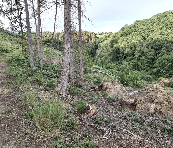 Kleiner Rundwanderweg