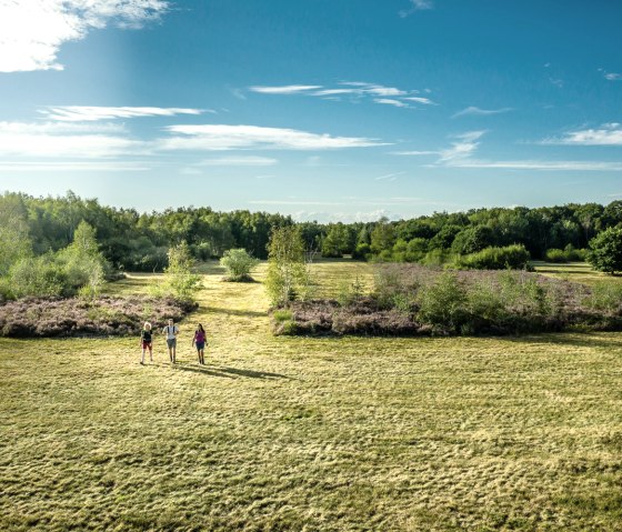 Drover Heide, © Dennis Stratmann | Kreis Düren