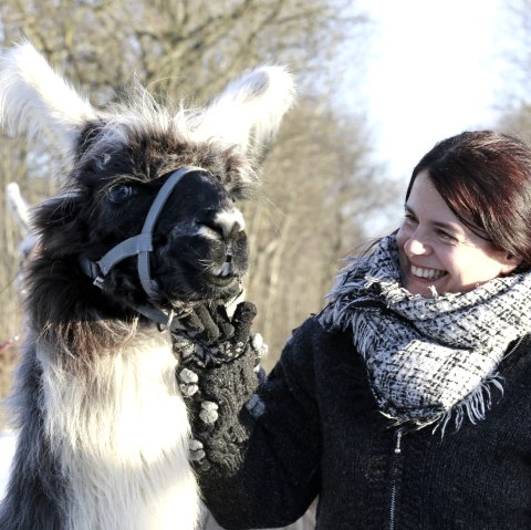 Lama wandeling, © Loni Liebermann