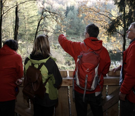 View of the beaver pond, © Rureifel-Tourismus e.V._Giesen