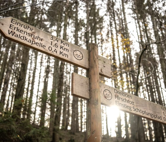 Wildnis-Trail Signalisation, © Eifel Tourismus GmbH, Dominik Ketz