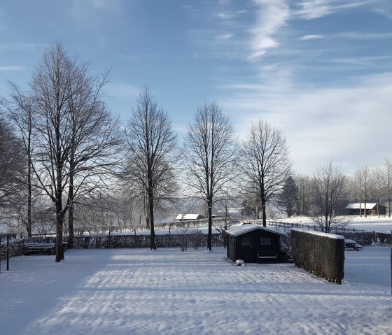 Jardin en hiver