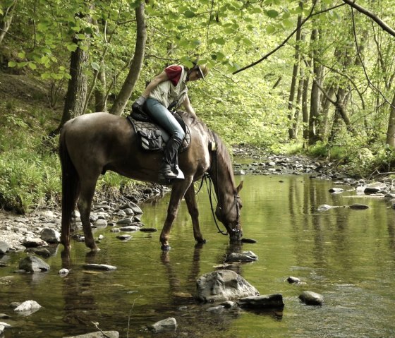 Promenade à cheval