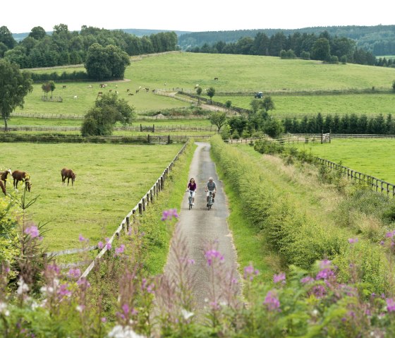 Radweg Vennbahn bei Wolfsbusch Montenau, © vennbahn.eu