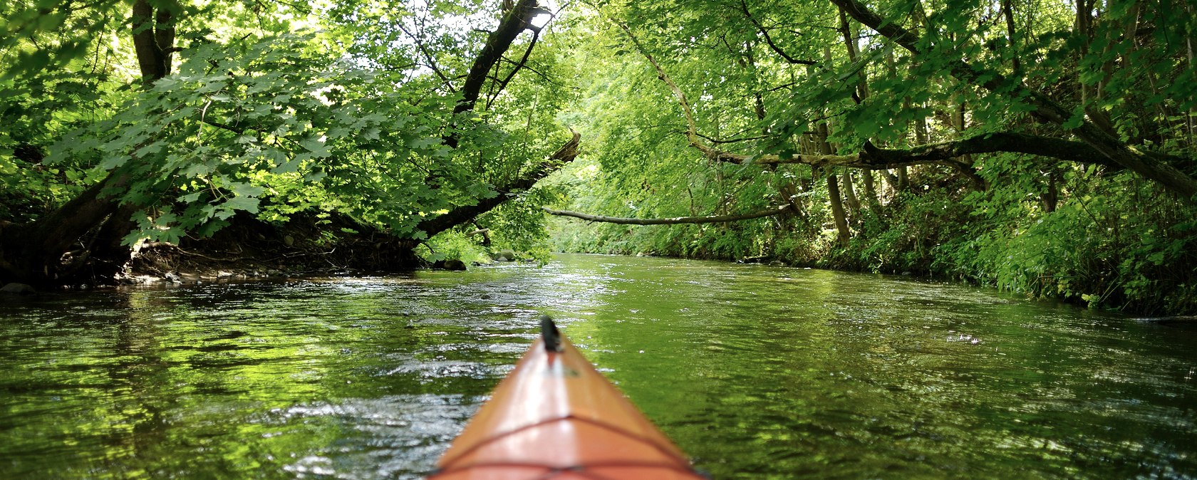 Ein besonderes Erlebnis ist das Befahren der Rur mit dem Kanu - ein ganz anderer Blickwinkel!, © fotolia.de