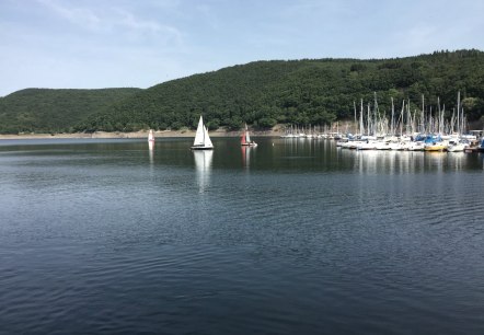 Am Rursee, © Eifel Tourismus GmbH