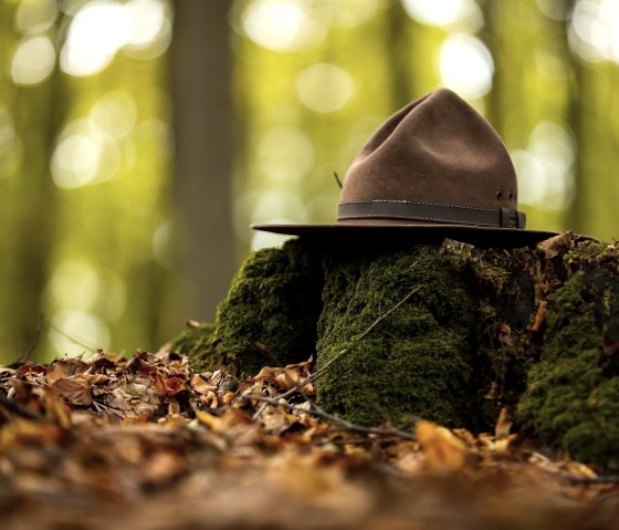 Rangerhoed, typisch voor rangers van het Nationaal Park Eifel, © Tourismus NRW e.V.