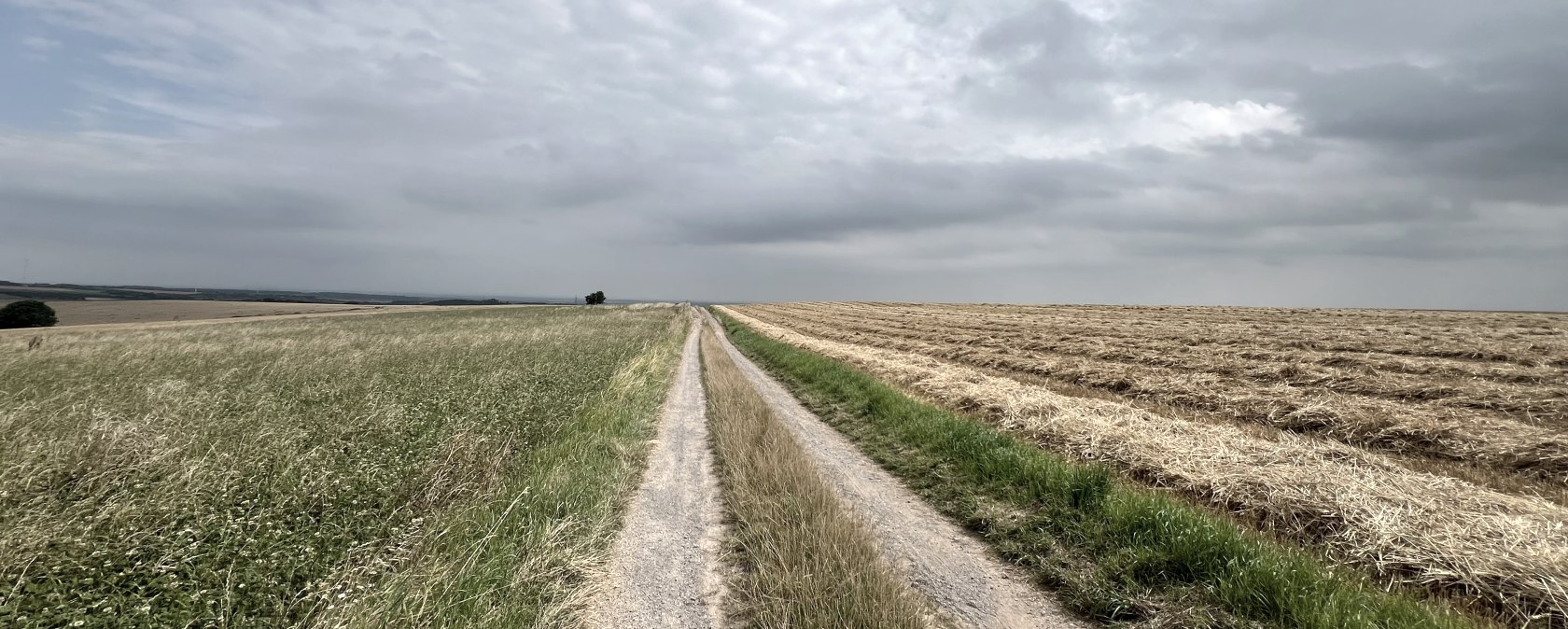 Wanderweg Nr. 87 - Wollersheimer Wanderweg, © Rureifel-Tourismus e.V., Michelle Wiesen