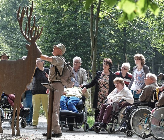 Wie groß ist eigentlich Rotwild? Das kann man hier Eindrucksvoll erkennen., © Hans Dieter Budde