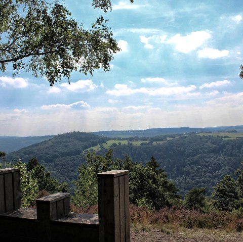 Vue sur l'Eifel Kuhkopf, © Rureifel-Tourismus e.V.