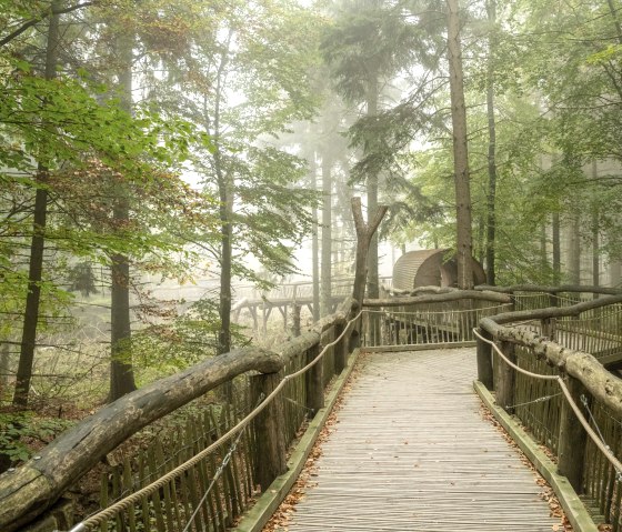 Über die Holzstege auf dem Wilden Weg, © Nationalpark Eifel, Dominik Ketz