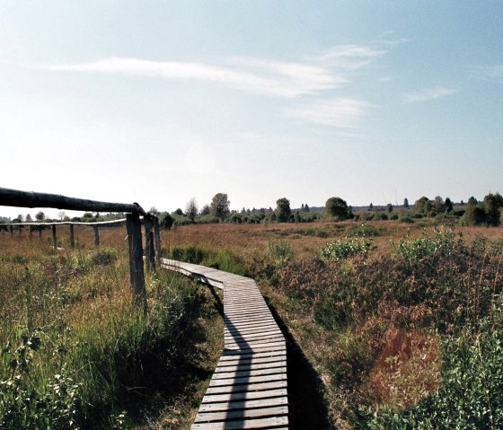 Parc naturel des Hautes Fagnes