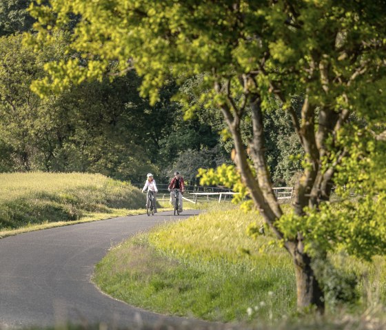 RurUfer-Radweg im Rurtal zwischen Hausen und Blens, © Dennis Stratmann | Grünmetropole e.V.