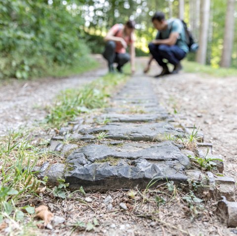 Panzerkette im Hürtgenwald, © Eifel Tourismus GmbH, Anton Röser, Shapefruit AG