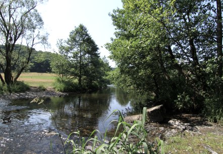 Ruraue bei Dedenborn, © Gemeinde Simmerath, Jessica Jehnen