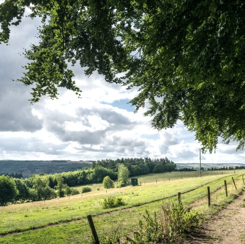 Wandern Rursee-Höhenweg, © Eifel Tourismus GmbH, Dominik Ketz