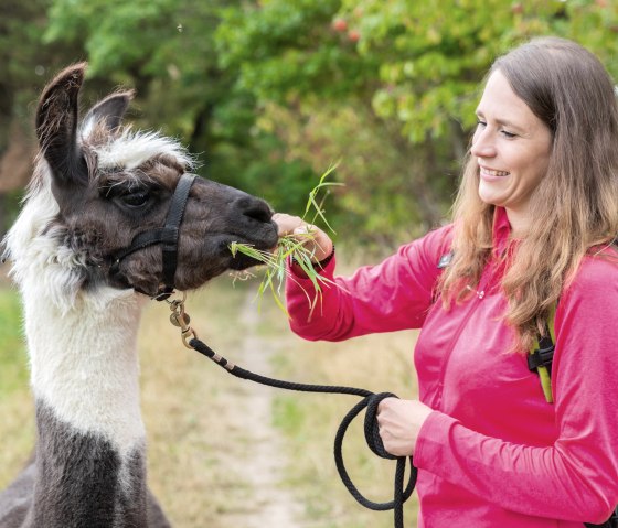 Fütterung, © Eifel Tourismus GmbH, AR - shapefruit AG