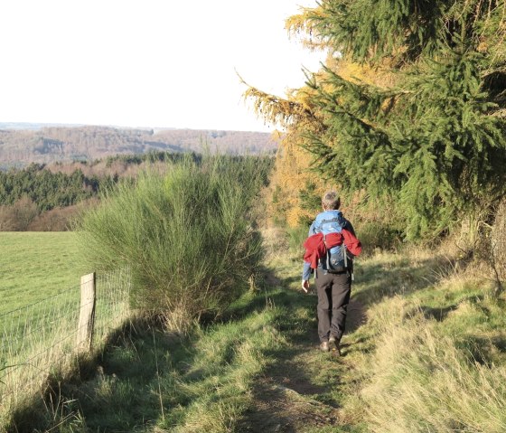 Sentier sauvage, © Eric Neyrinck