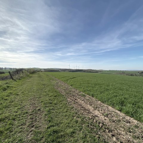 Uitzicht op het Börd landschap, © Rureifel-Tourismus e.V.