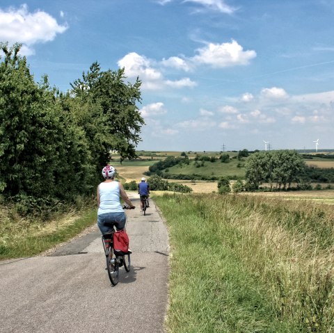 Radfahren in der Börde