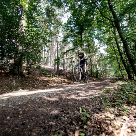 Mountainbiker unterwegs auf dem Routennetz, © someoner.de