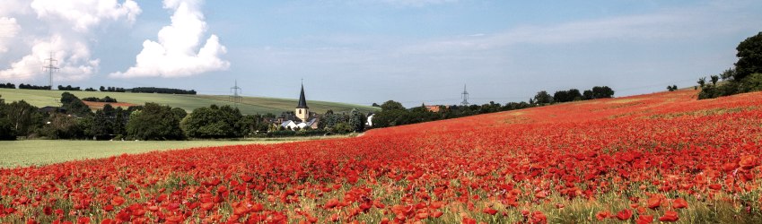 Blick auf das Bördedorf Muldenau, © Hans-Eberhard Peters