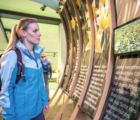 Nationalpark-Tor Höfen, © Eifel-Tourismus GmbH, Dominik Ketz