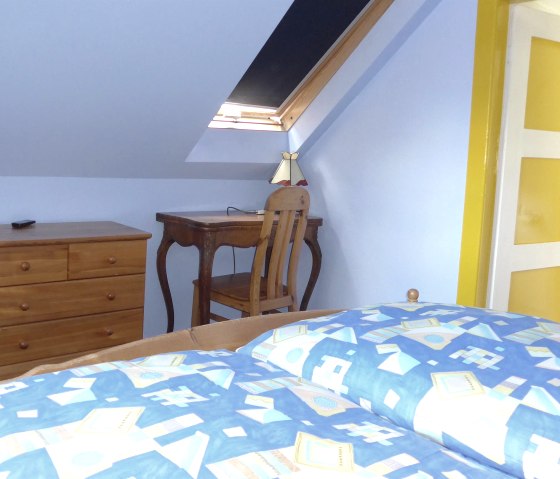 Chambre bleue1, DG