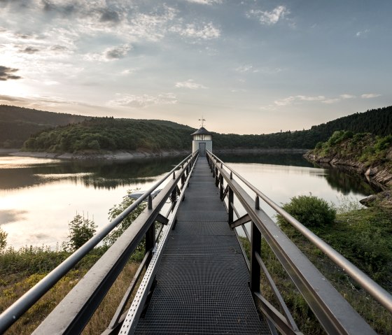 Point photo fascinant sur le barrage de l'Urft avec vue sur l'eau et le parc national de l'Eifel, © Eifel Tourismus GmbH, Dominik Ketz