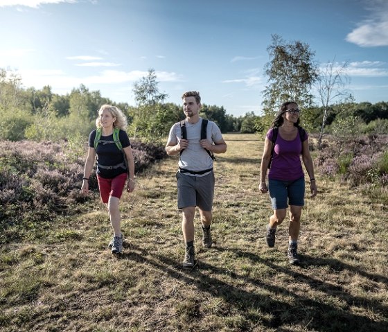 Wandern in der Drover Heide, © Kreis Düren_Dennis Stratmann