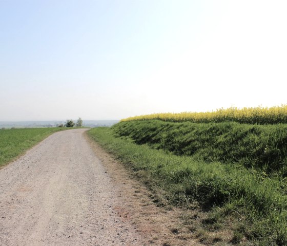 Bördelanschaft in Nideggen-Rath, © Rureifel-Tourimus e.V.