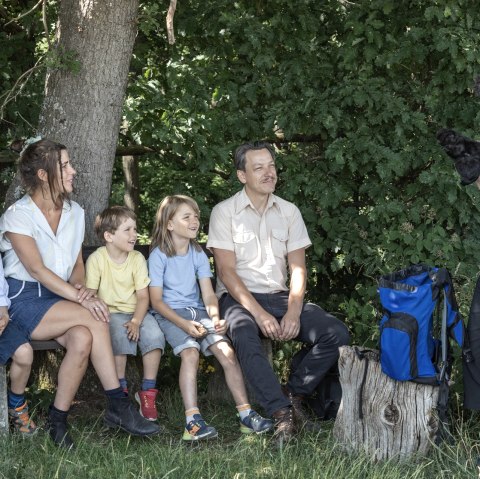 Mehr erfahren über den Biber, © Eifel Tourismus GmbH_ Vollmer