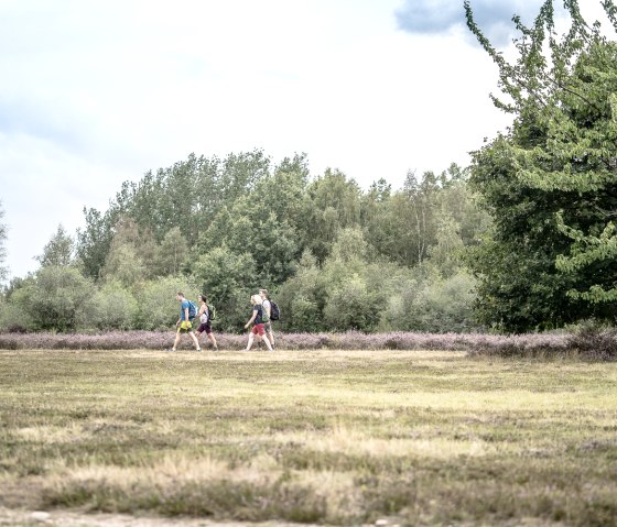 Drover Heide, © Dennis Stratmann | Kreis Düren