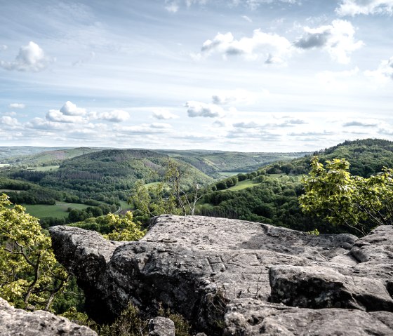 Blick vom Eugenienstein auf den Nationalpark Eifel, © Dennis Stratmann | Grünmetropole e.V.