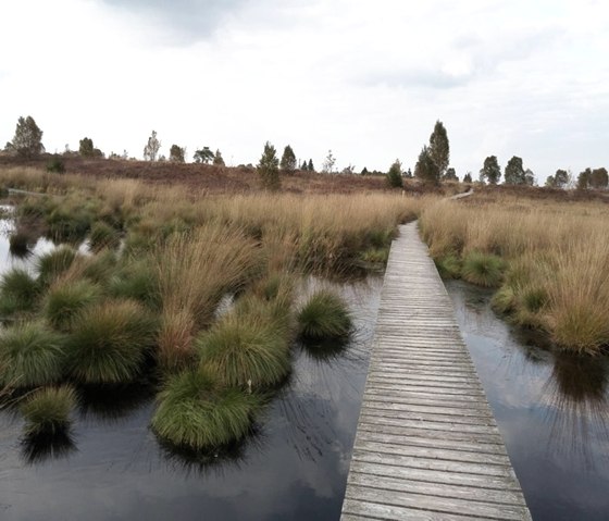 Natuurpark Hoge Venen