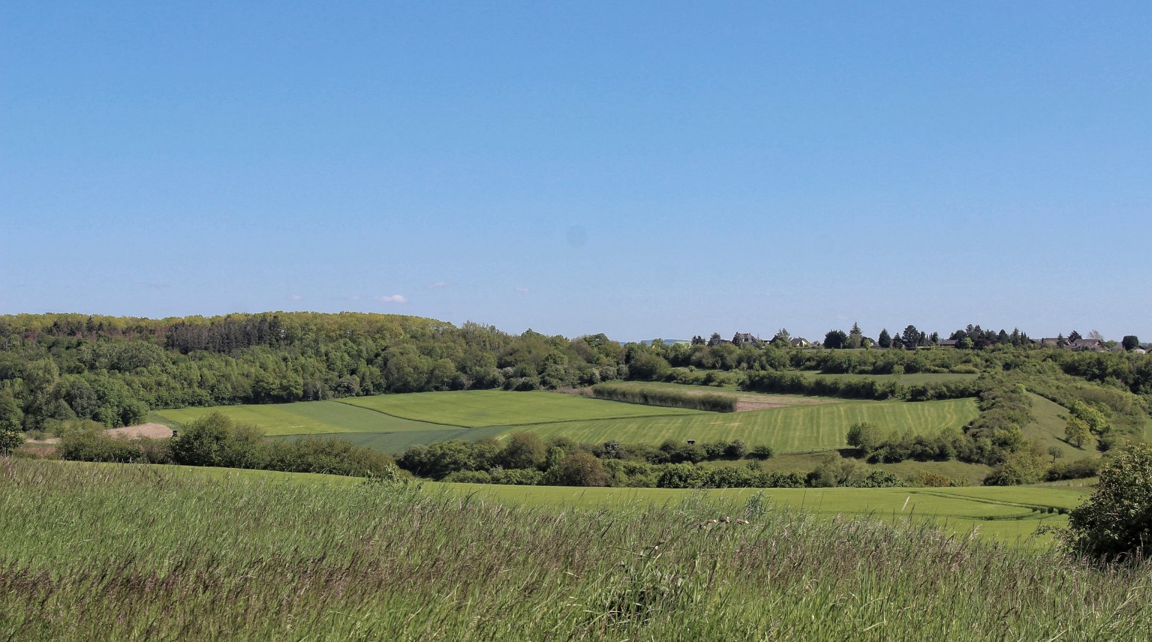 Wandern durch die Bördelandschaft