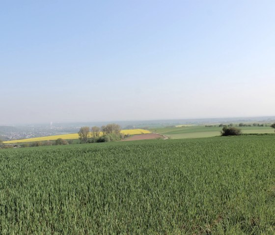 Weitblick in die Börde, © Rureifel-Tourimus e.V.