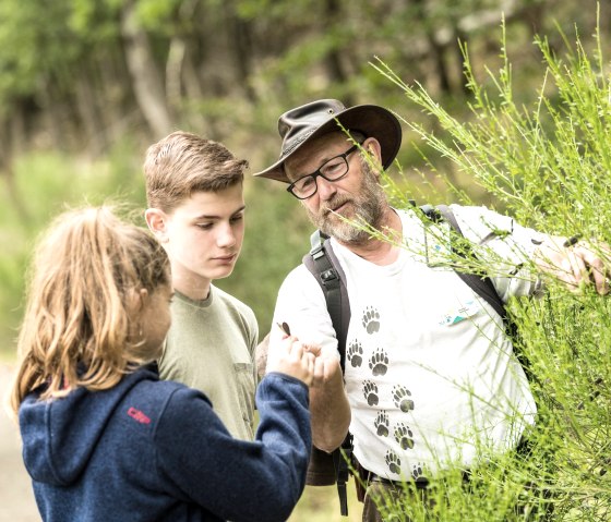 Tour en famille avec guide forestier