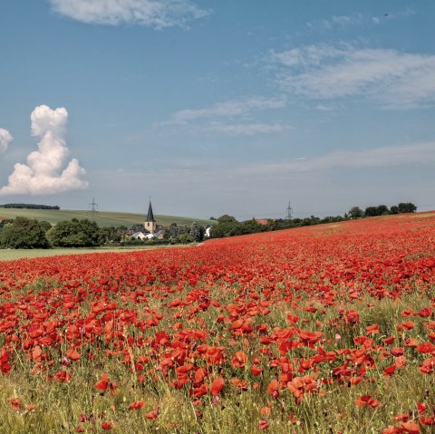 Blick auf Muldenau