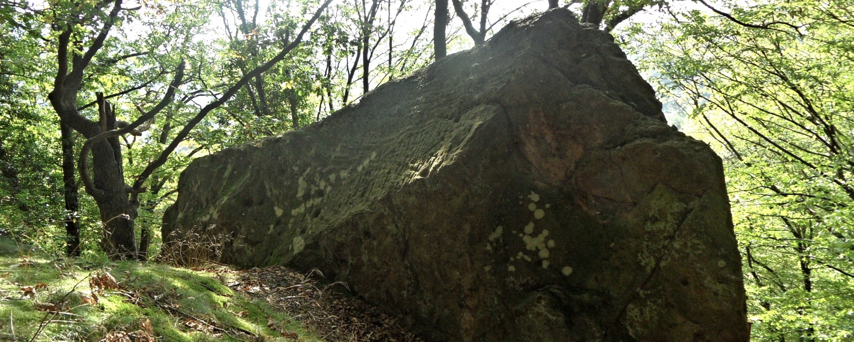 Hübsche Begleiter entlang des Wegesrandes, © Karl-Heinz Rosenzweig, Der-eifelyeti.de, © Der-eifelyeti.de